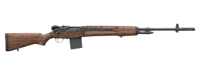 M21 SWS