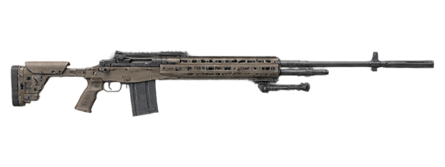 M39 EMR